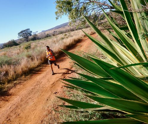 THE BIG FIVE MARATHON | 42K,21K 2023